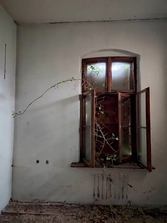 027 | 2023 | Góra | Pałac w Kłodzie Górowskiej | © carsten riede fotografie