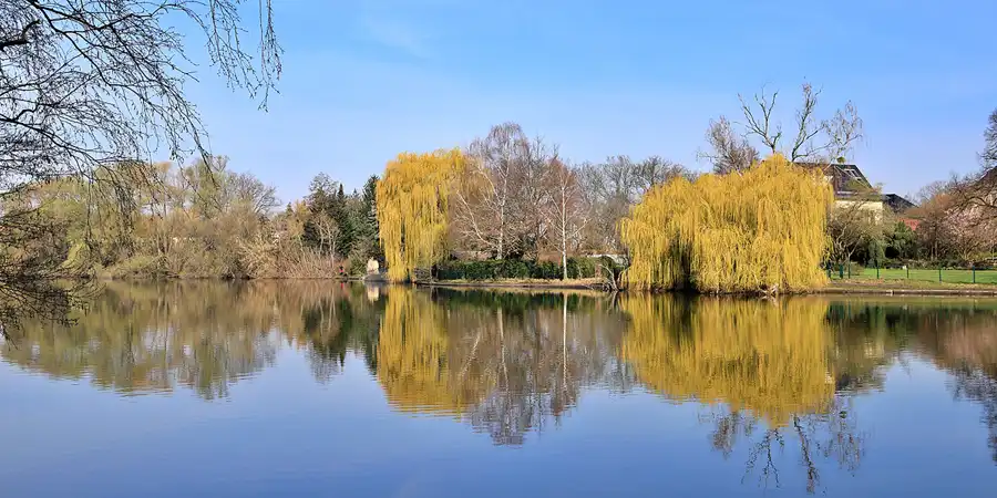 003 | 2023 | Berlin | Obersee-Orankesee-Park | © carsten riede fotografie