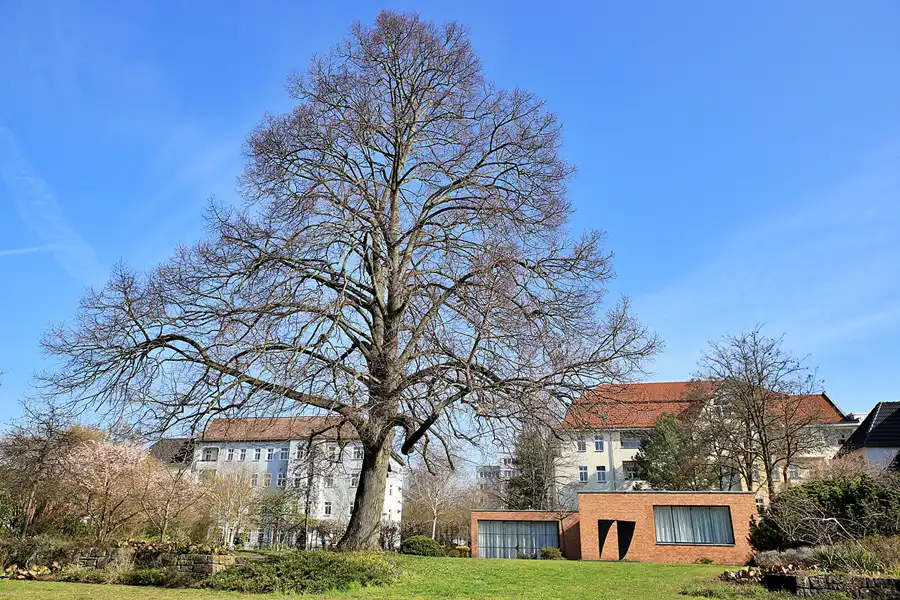 014 | 2023 | Berlin | Obersee-Orankesee-Park | © carsten riede fotografie