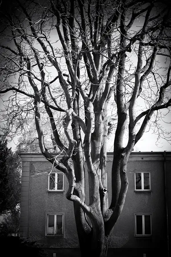 022 | 2023 | Berlin | Sportforum | © carsten riede fotografie