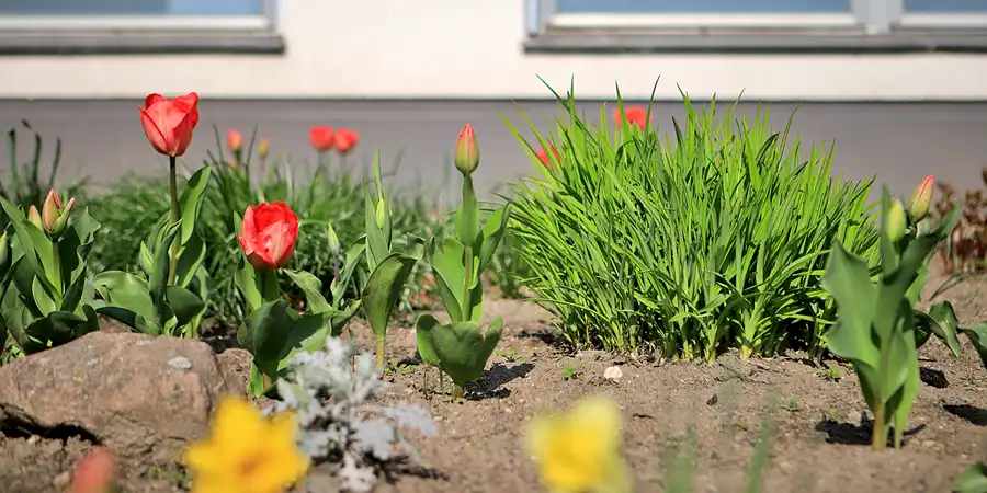 024 | 2023 | Berlin | Sportforum | © carsten riede fotografie