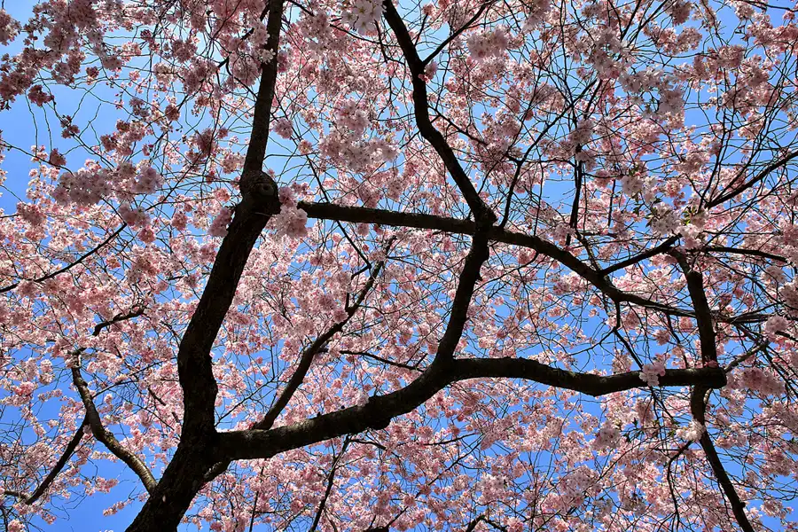 043 | 2023 | Berlin | Sportforum | © carsten riede fotografie