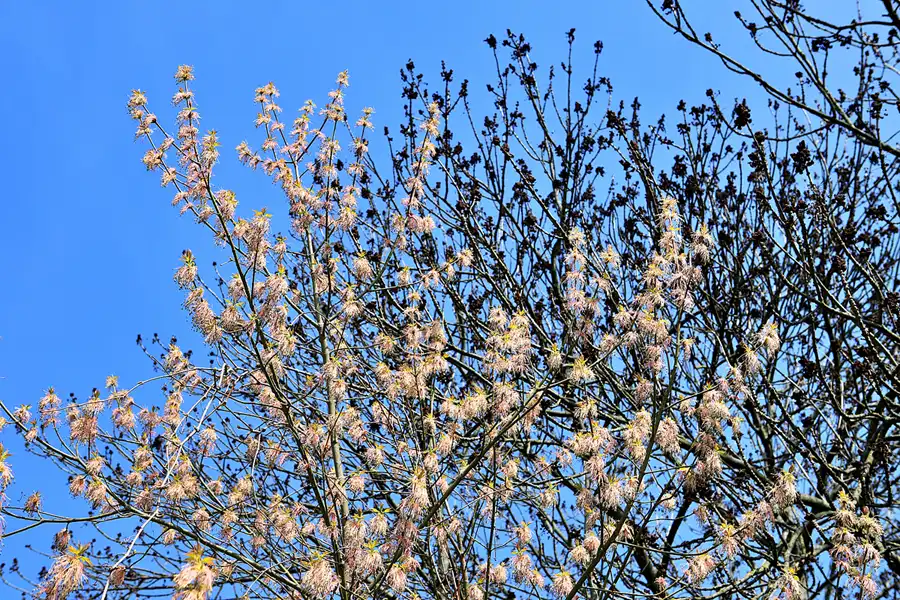 044 | 2023 | Berlin | Sportforum | © carsten riede fotografie