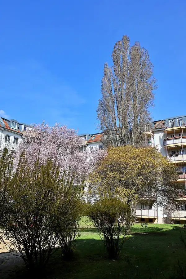 056 | 2023 | Berlin | Freienwalder Strasse | © carsten riede fotografie