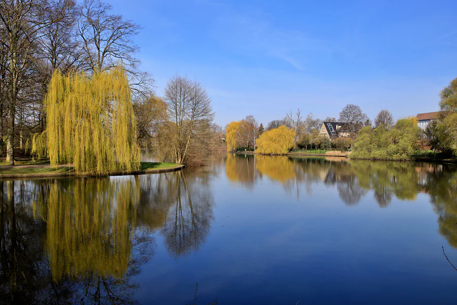 006 | 2023 | Berlin | Obersee-Orankesee-Park | © carsten riede fotografie