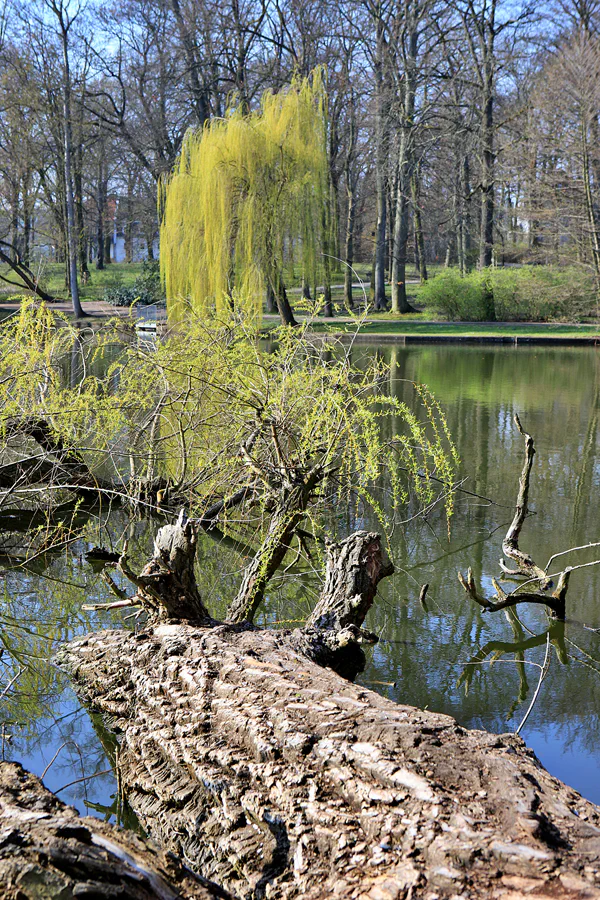 009 | 2023 | Berlin | Obersee-Orankesee-Park | © carsten riede fotografie