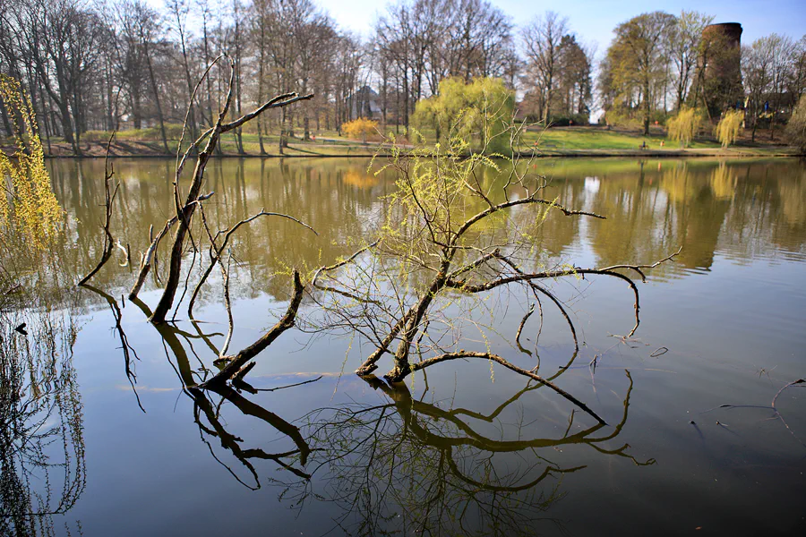 010 | 2023 | Berlin | Obersee-Orankesee-Park | © carsten riede fotografie