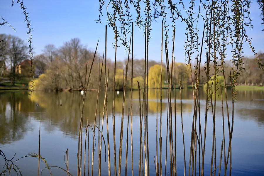 011 | 2023 | Berlin | Obersee-Orankesee-Park | © carsten riede fotografie