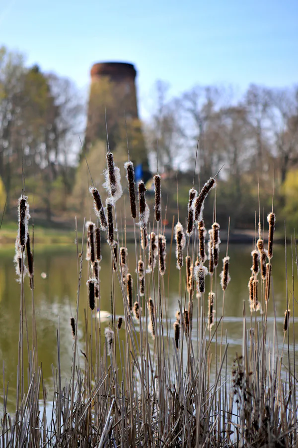 012 | 2023 | Berlin | Obersee-Orankesee-Park | © carsten riede fotografie