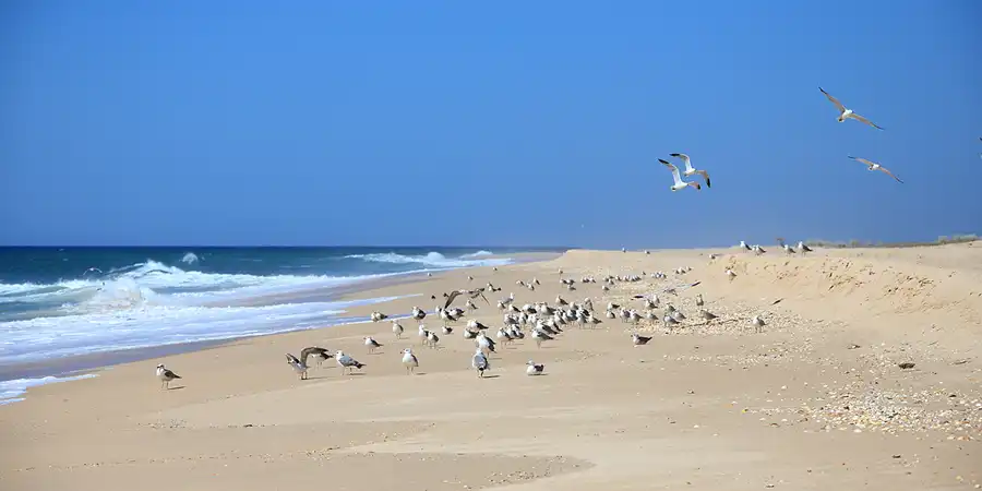 010 | 2023 | Ilha Deserta | © carsten riede fotografie