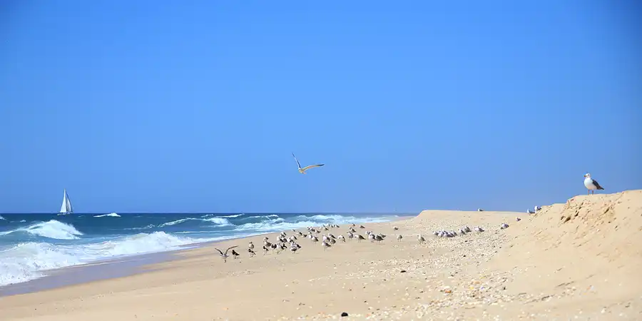 011 | 2023 | Ilha Deserta | © carsten riede fotografie