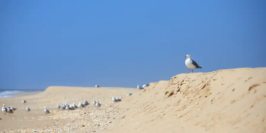 012 | 2023 | Ilha Deserta | © carsten riede fotografie