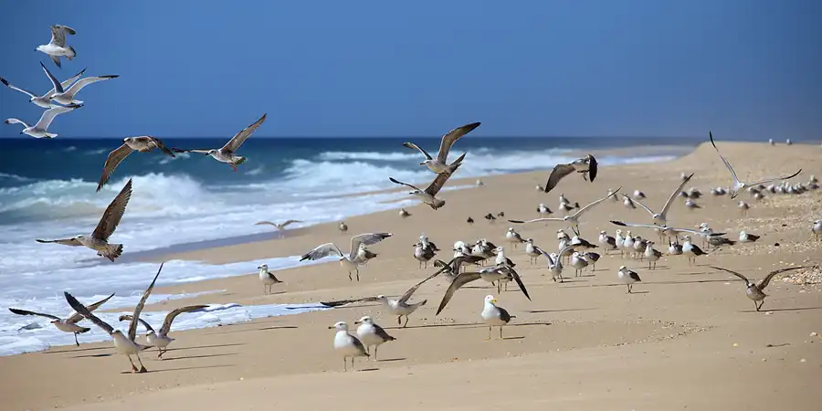 013 | 2023 | Ilha Deserta | © carsten riede fotografie