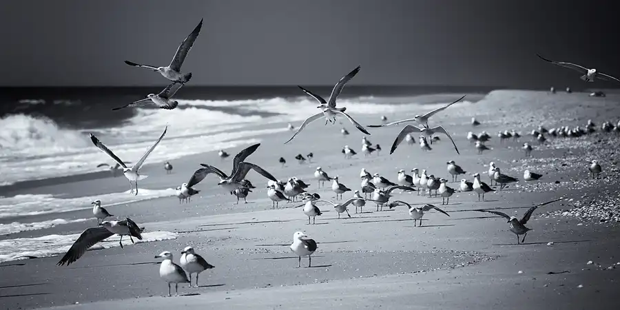 014 | 2023 | Ilha Deserta | © carsten riede fotografie