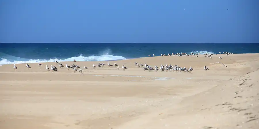 019 | 2023 | Ilha Deserta | © carsten riede fotografie