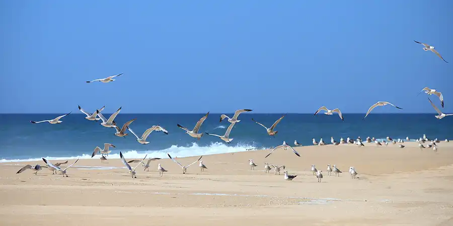 020 | 2023 | Ilha Deserta | © carsten riede fotografie