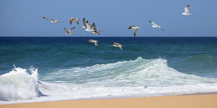 022 | 2023 | Ilha Deserta | © carsten riede fotografie