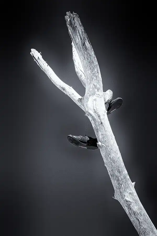 027 | 2023 | Ilha Deserta | © carsten riede fotografie