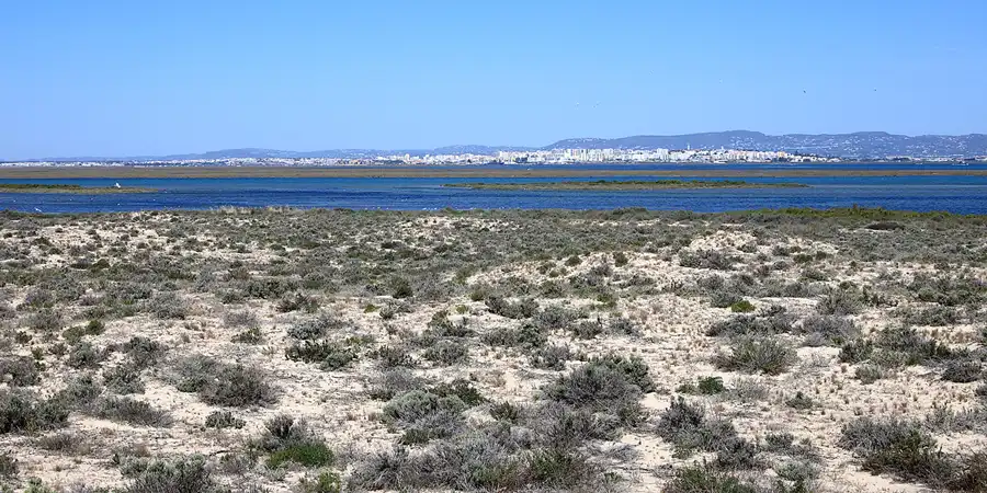 031 | 2023 | Ilha Deserta | © carsten riede fotografie
