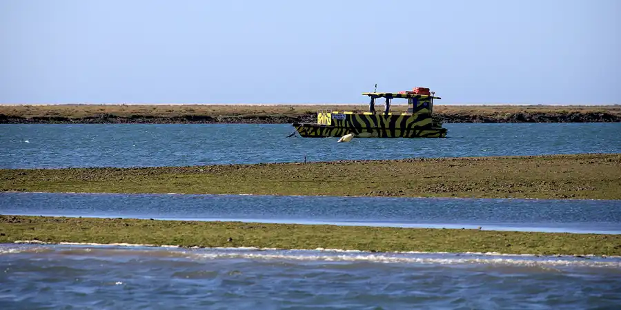 053 | 2023 | Ilha Deserta | © carsten riede fotografie
