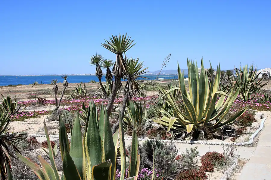 066 | 2023 | Ilha do Farol | © carsten riede fotografie