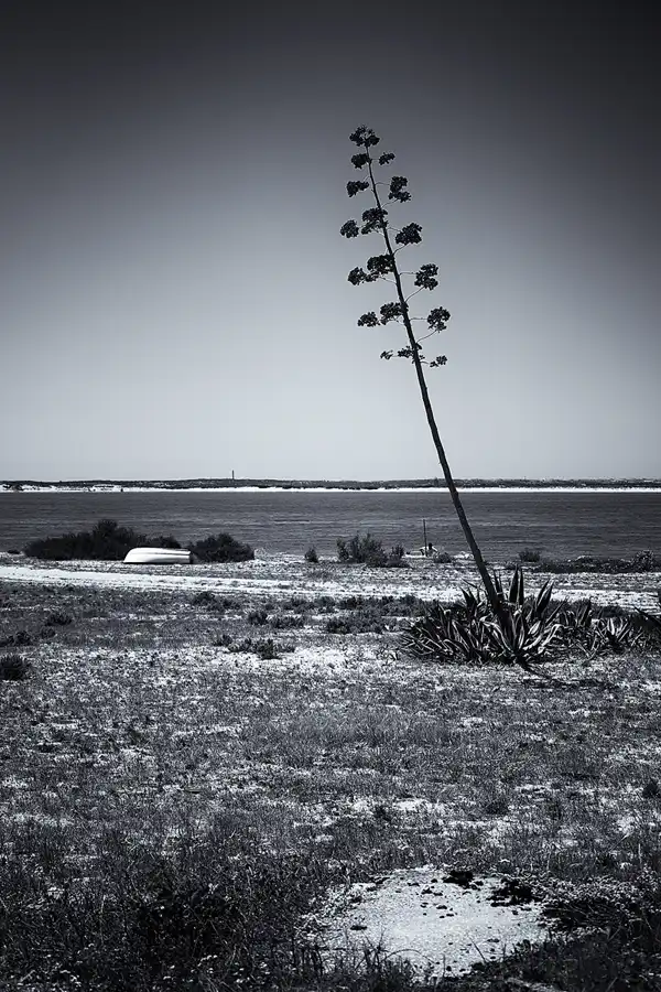 067 | 2023 | Ilha do Farol | © carsten riede fotografie