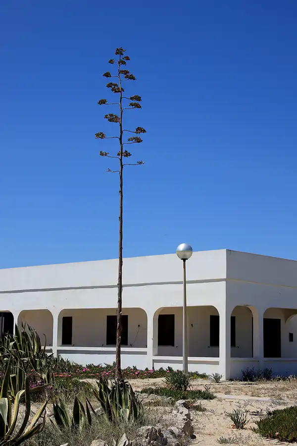 076 | 2023 | Ilha do Farol | © carsten riede fotografie