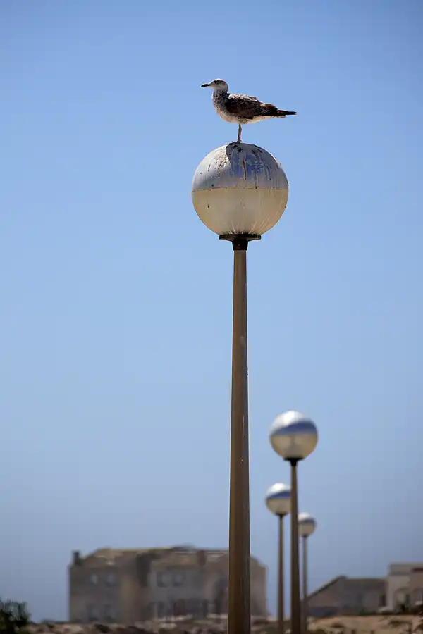 077 | 2023 | Ilha do Farol | © carsten riede fotografie