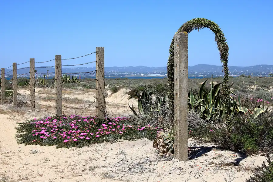 081 | 2023 | Ilha do Farol | © carsten riede fotografie