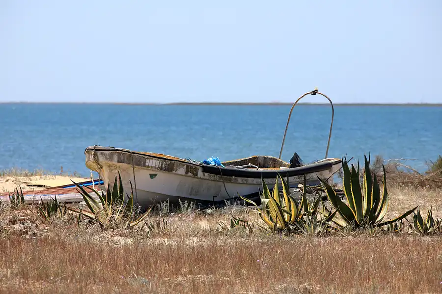 102 | 2023 | Ilha da Culatra | © carsten riede fotografie