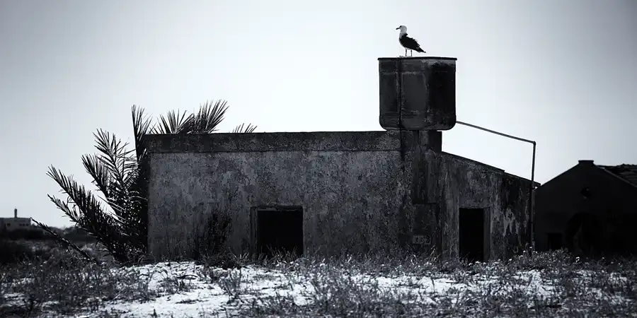 104 | 2023 | Ilha da Culatra | © carsten riede fotografie