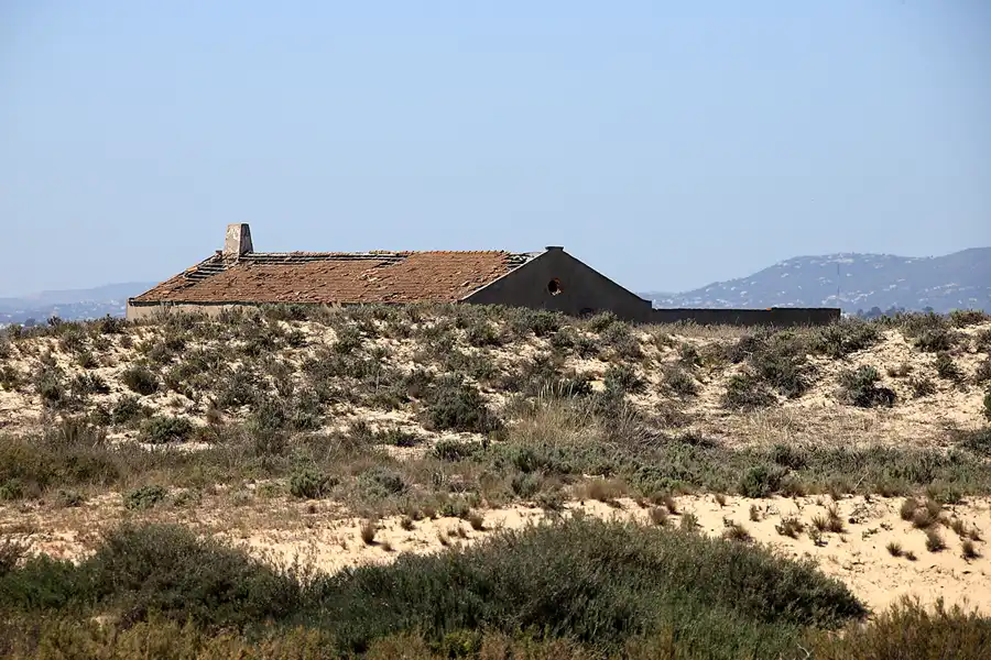 105 | 2023 | Ilha da Culatra | © carsten riede fotografie