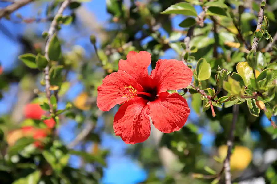 110 | 2023 | Ilha da Culatra | © carsten riede fotografie