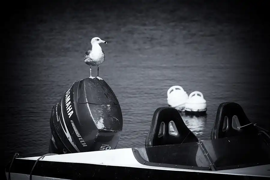 118 | 2023 | Ilha da Culatra | © carsten riede fotografie