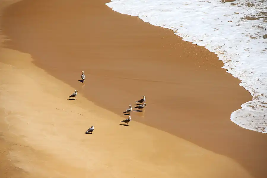069 | 2023 | Praia Da Marinha | © carsten riede fotografie