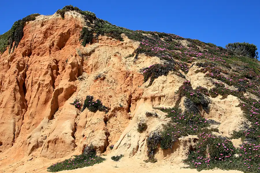 292 | 2023 | Praia Da Falesia | © carsten riede fotografie