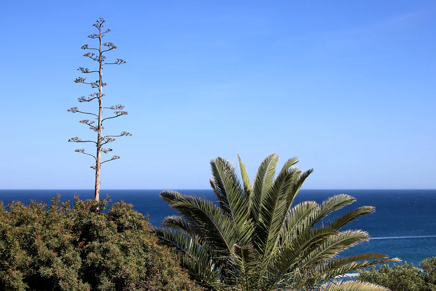 082 | 2023 | Praia Dos Pinheiros | © carsten riede fotografie