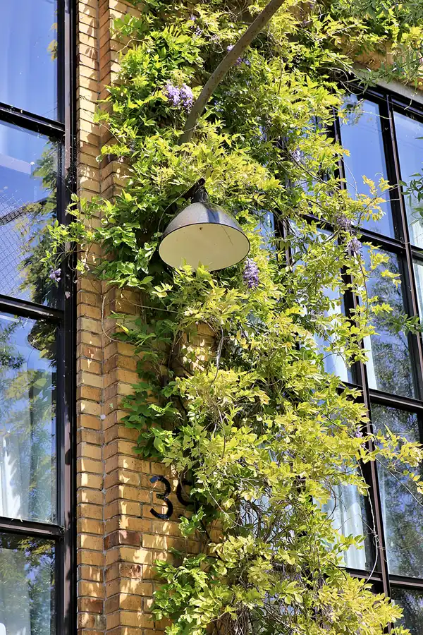 064 | 2023 | Berlin | Industriekultur in Berlin-Oberschöneweide | © carsten riede fotografie