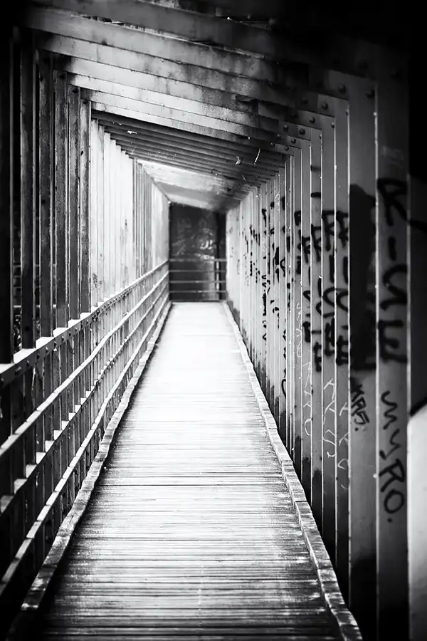 048 | 2023 | Rochlitz | © carsten riede fotografie