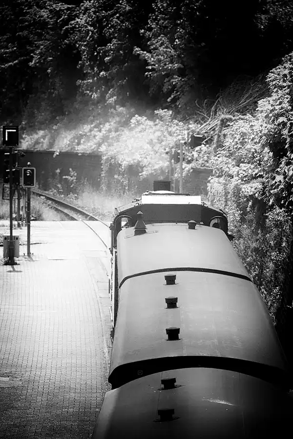 014 | 2023 | Zittau | Zittauer Schmalspurbahn – Zittau Haltepunkt | © carsten riede fotografie