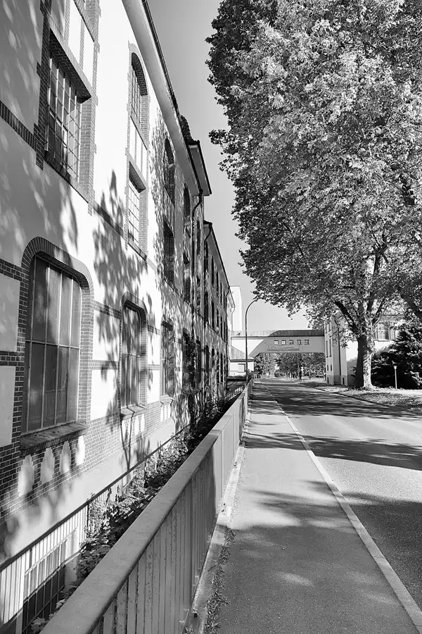 005 | 2023 | Oberlenningen | Papierfabrik Scheufelen | © carsten riede fotografie