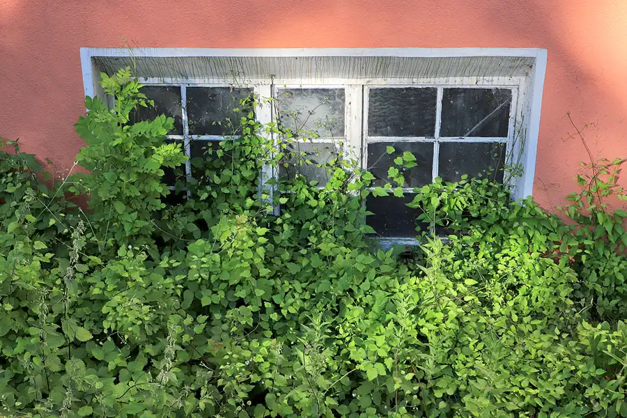 008 | 2023 | Oberlenningen | Papierfabrik Scheufelen | © carsten riede fotografie