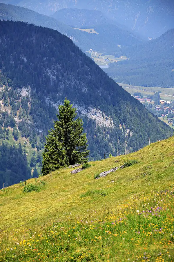 016 | 2023 | Buchensteinwand | © carsten riede fotografie