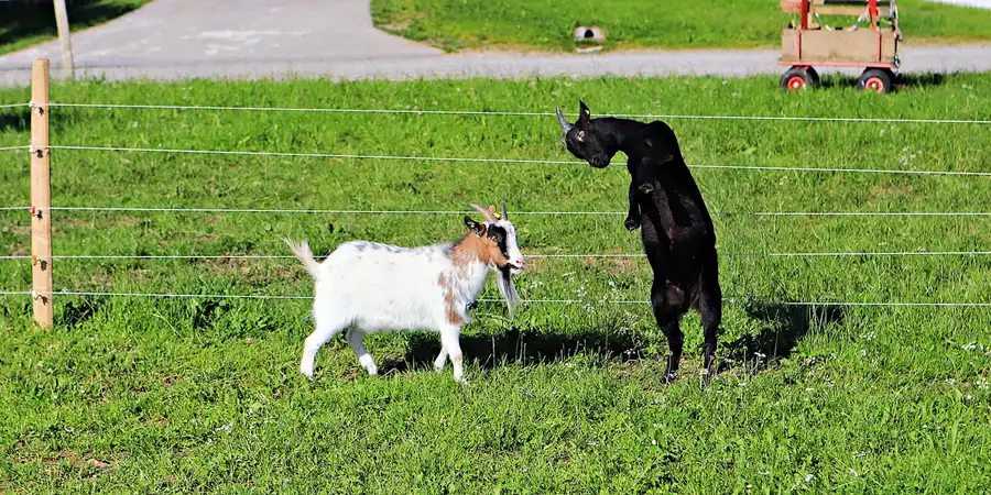 072 | 2023 | Walchsee | © carsten riede fotografie