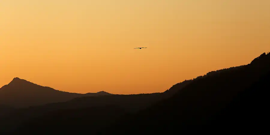 082 | 2023 | Walchsee | © carsten riede fotografie