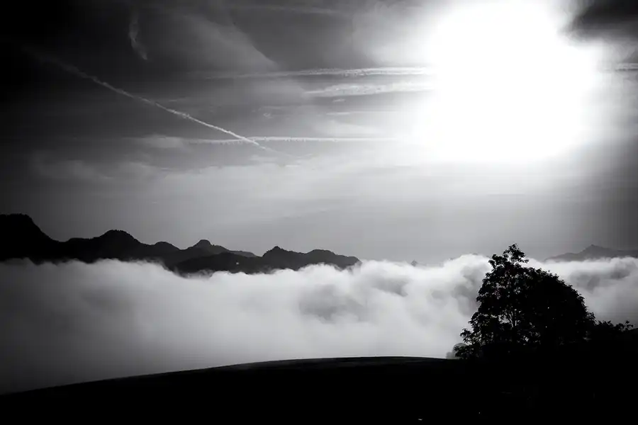 116 | 2023 | Walchsee | © carsten riede fotografie