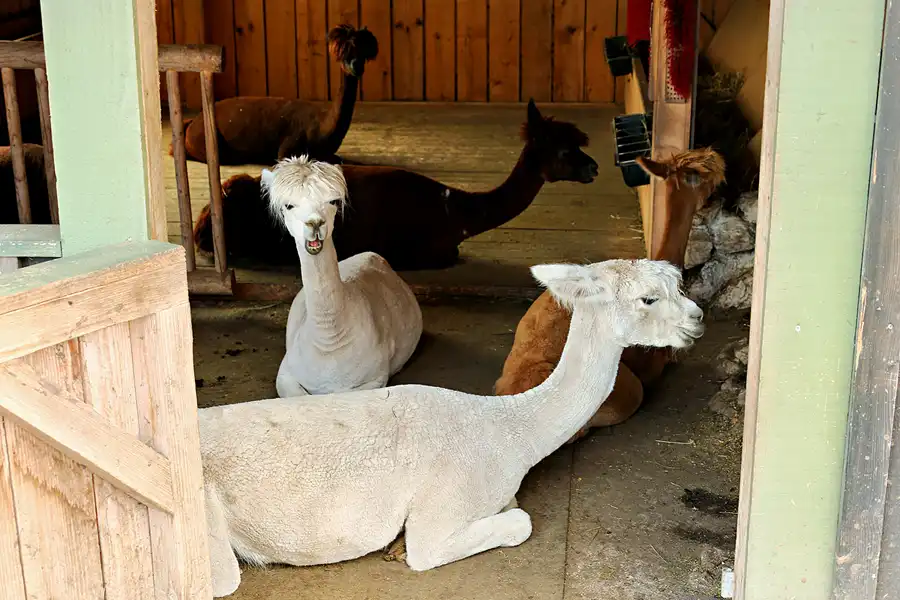 136 | 2023 | Kufstein | Kufstein-Stadtberg | © carsten riede fotografie