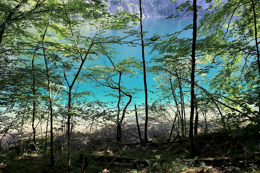 027 | 2023 | Schönau am Königssee | Rund um den Obersee | © carsten riede fotografie