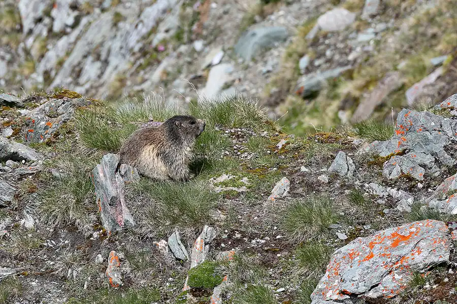 035 | 2023 | Grossglockner Hochalpenstrasse | © carsten riede fotografie