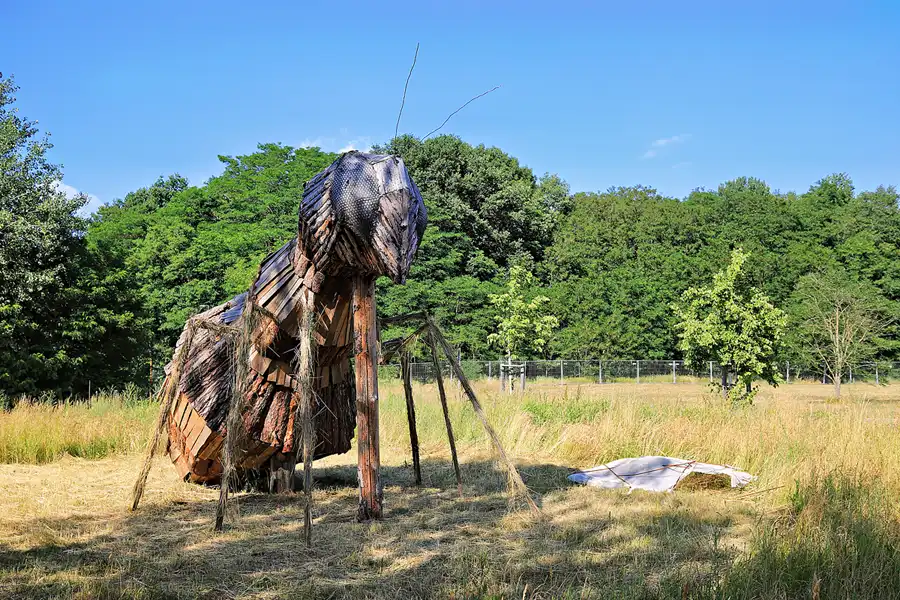 025 | 2023 | Lichterfeld | © carsten riede fotografie